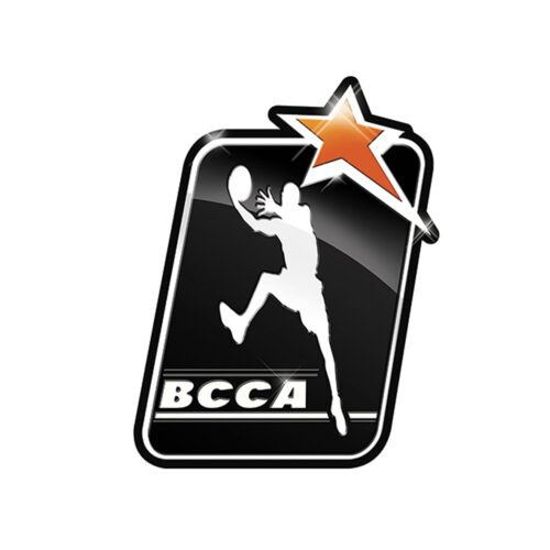 basketlogo